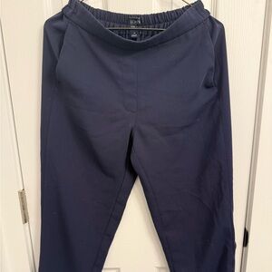 J. Crew Navy Men's Pants